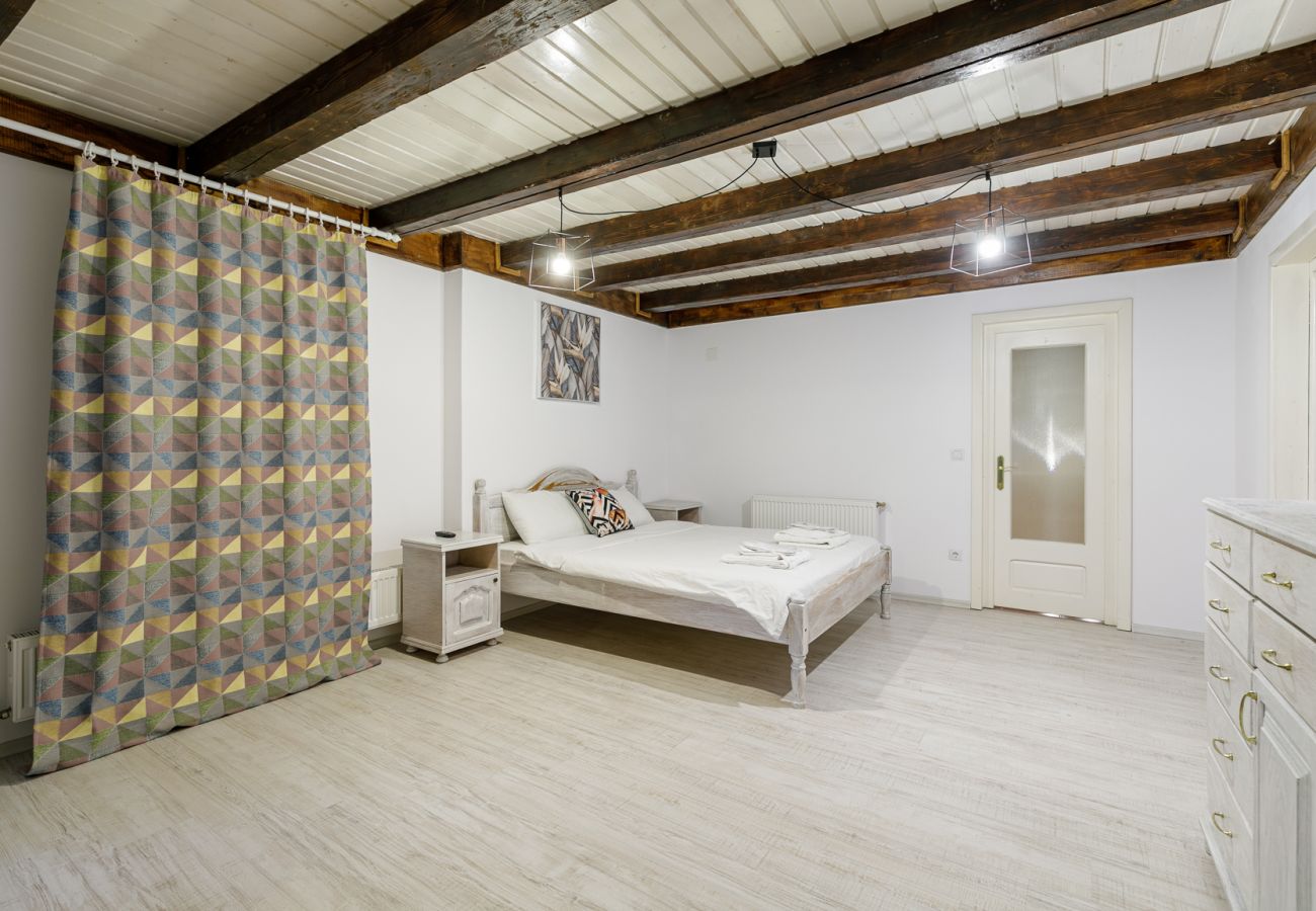 House in Bistrita - Tropica Home with Barbeque & Ciubar
