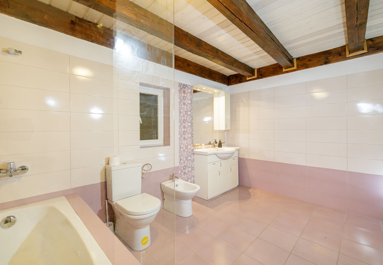 House in Bistrita - Tropica Home with Barbeque & Ciubar