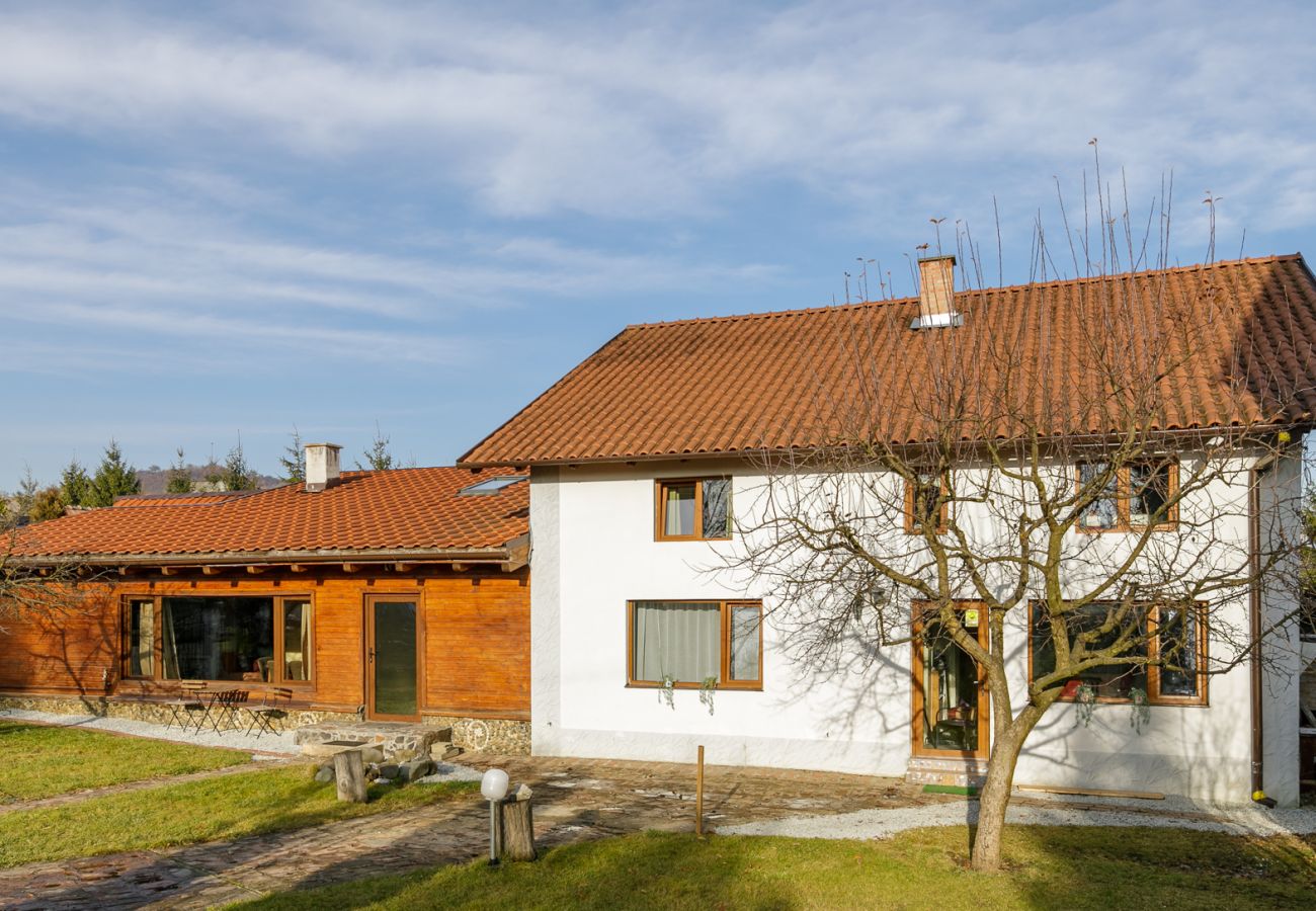 House in Bistrita - Tropica Home with Barbeque & Ciubar