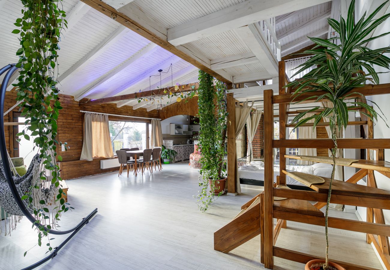 House in Bistrita - Tropica Home with Barbeque & Ciubar