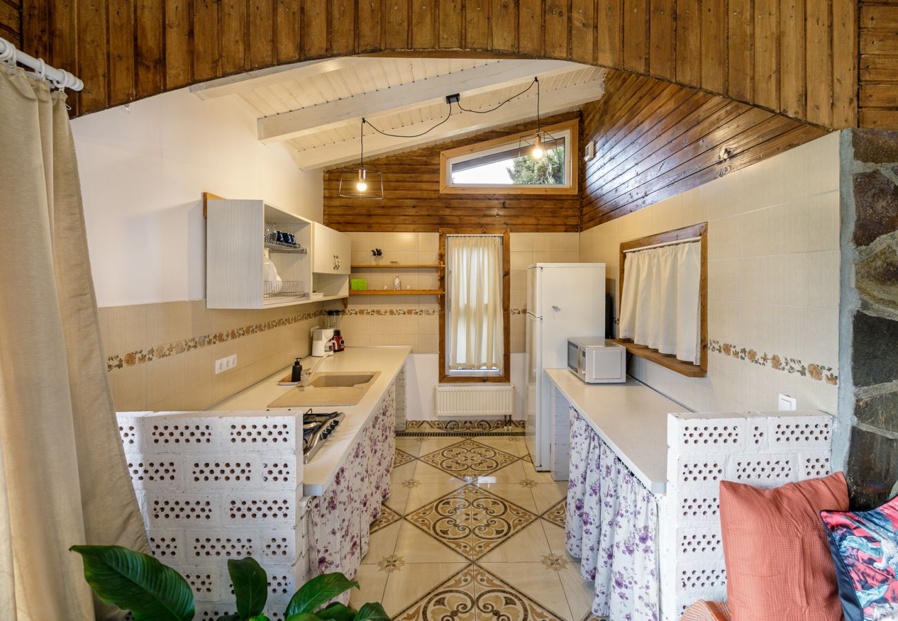 House in Bistrita - Tropica Home with Barbeque & Ciubar