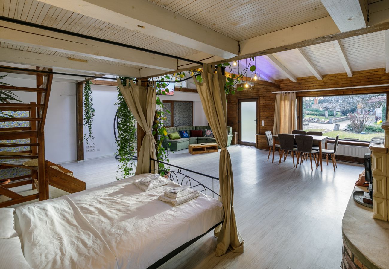 House in Bistrita - Tropica Home with Barbeque & Ciubar