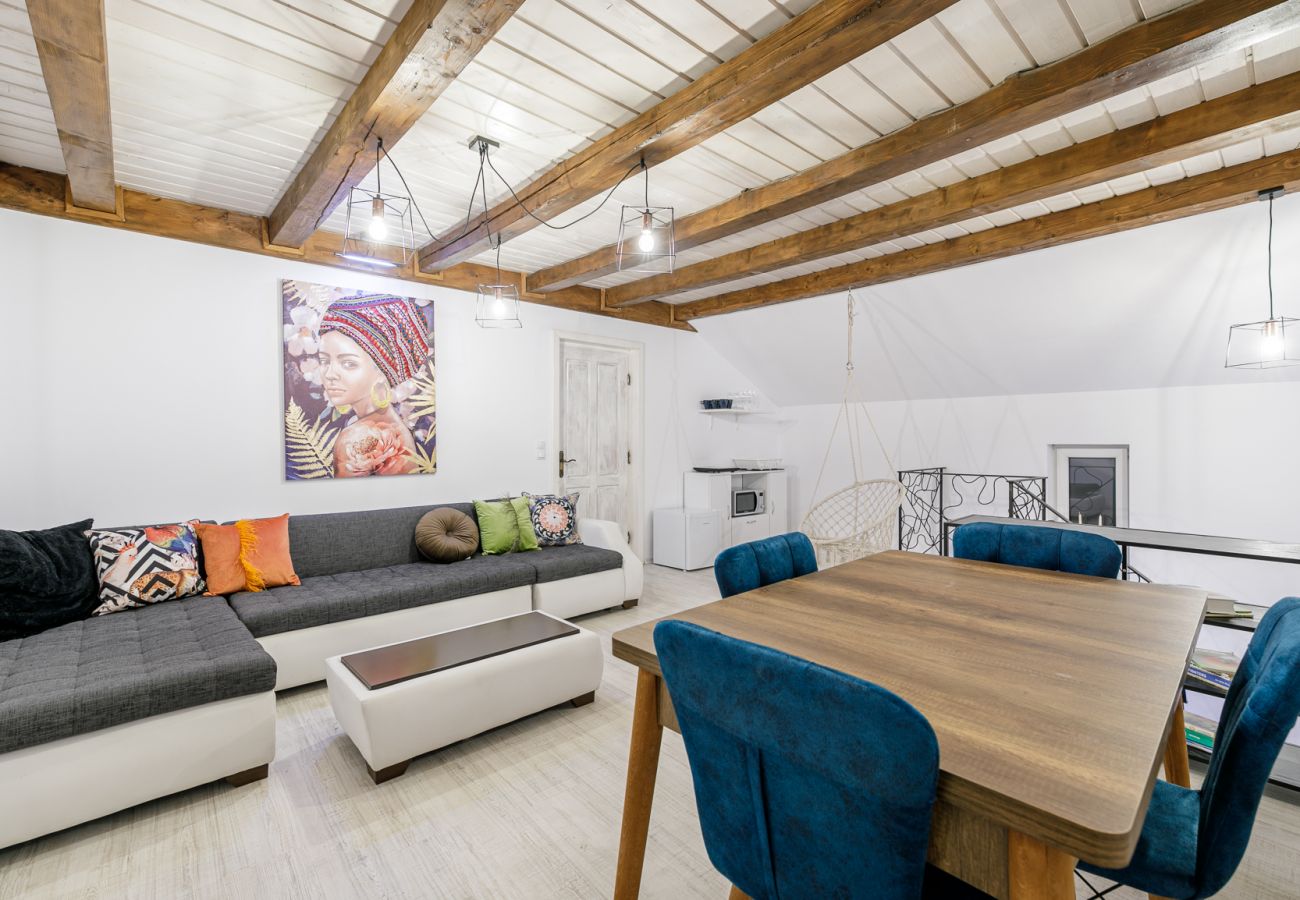 House in Bistrita - Tropica Home with Barbeque & Ciubar
