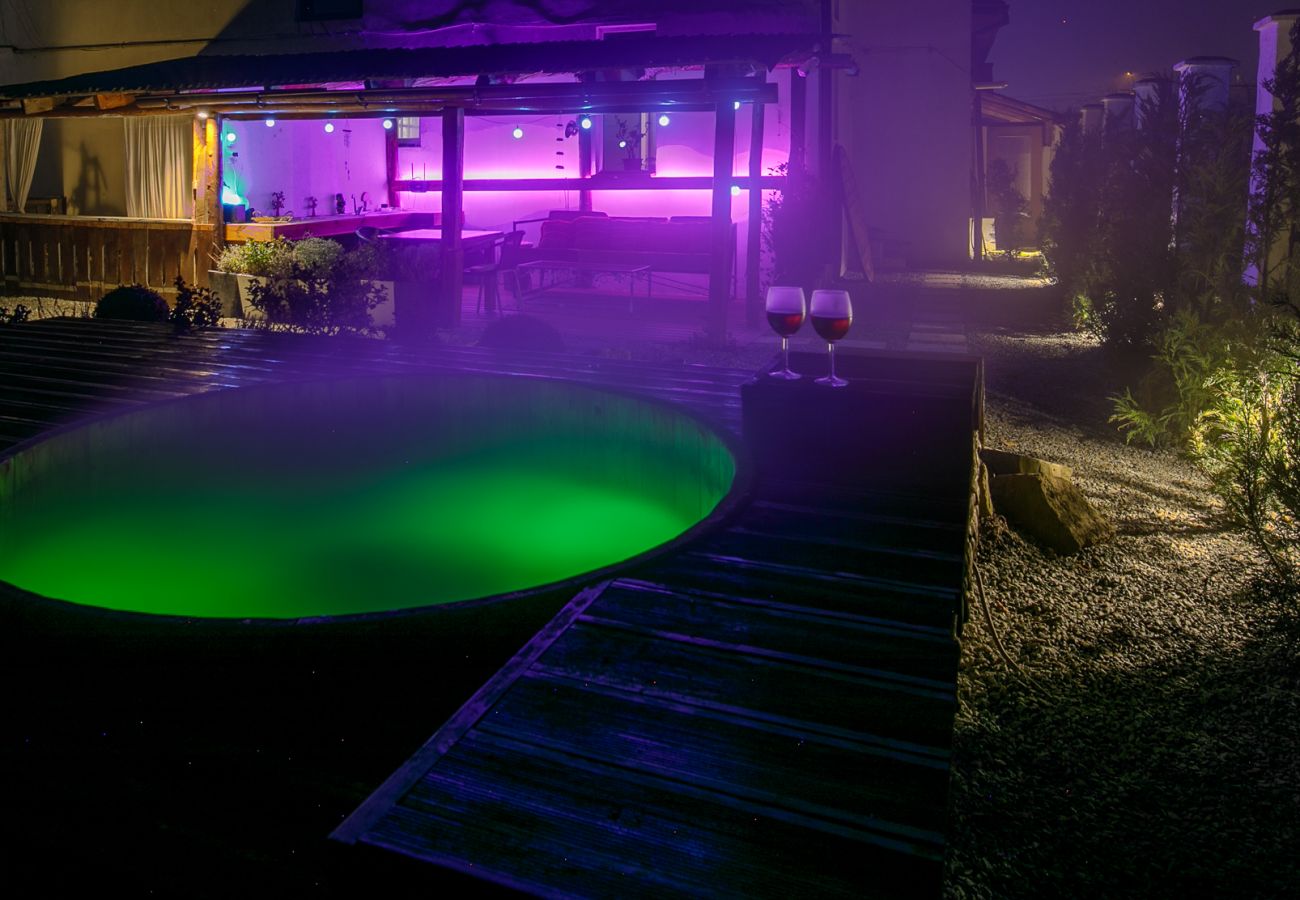 House in Bistrita - Tropica Home with Barbeque & Ciubar