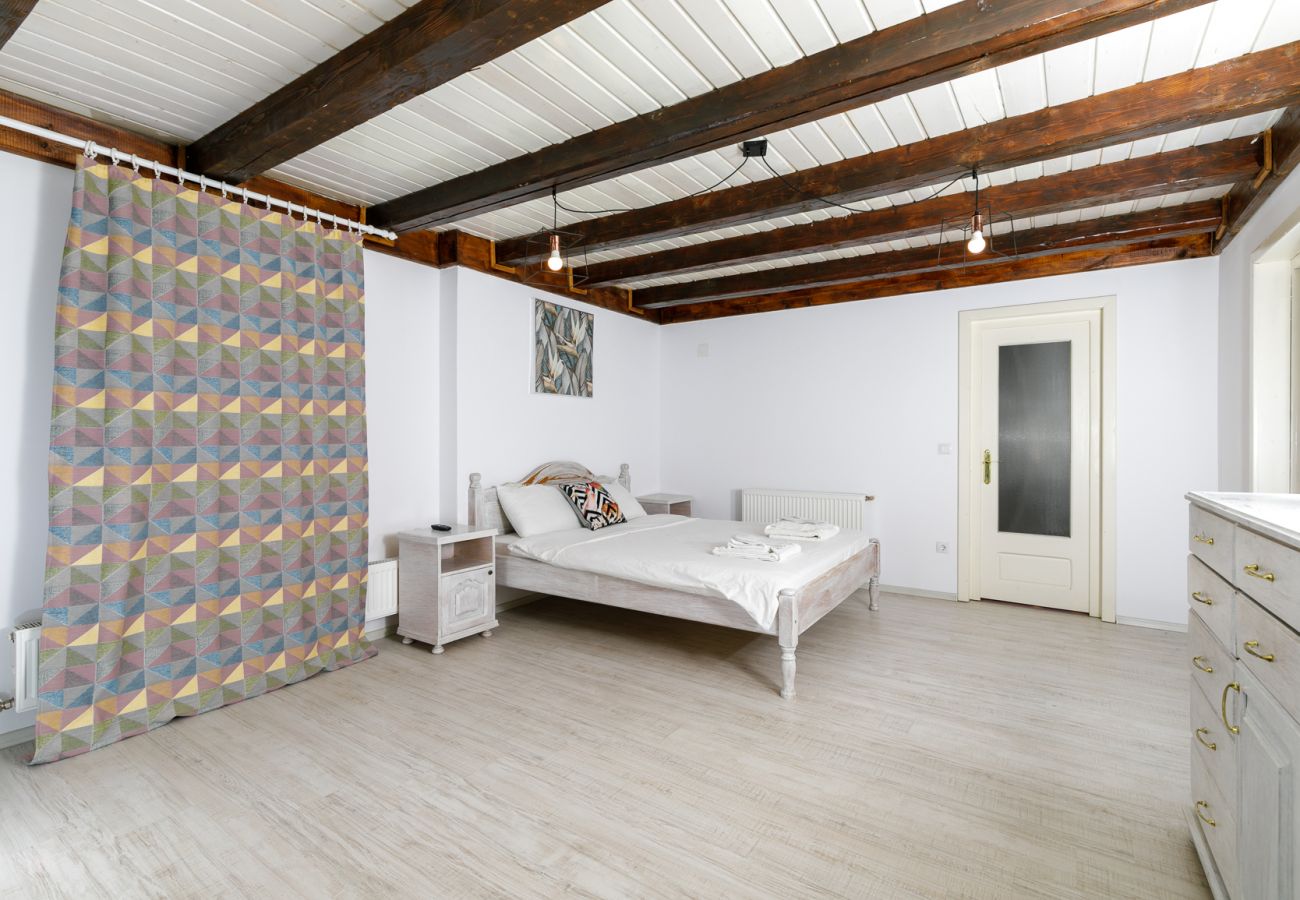 House in Bistrita - Tropica Home with Barbeque & Ciubar