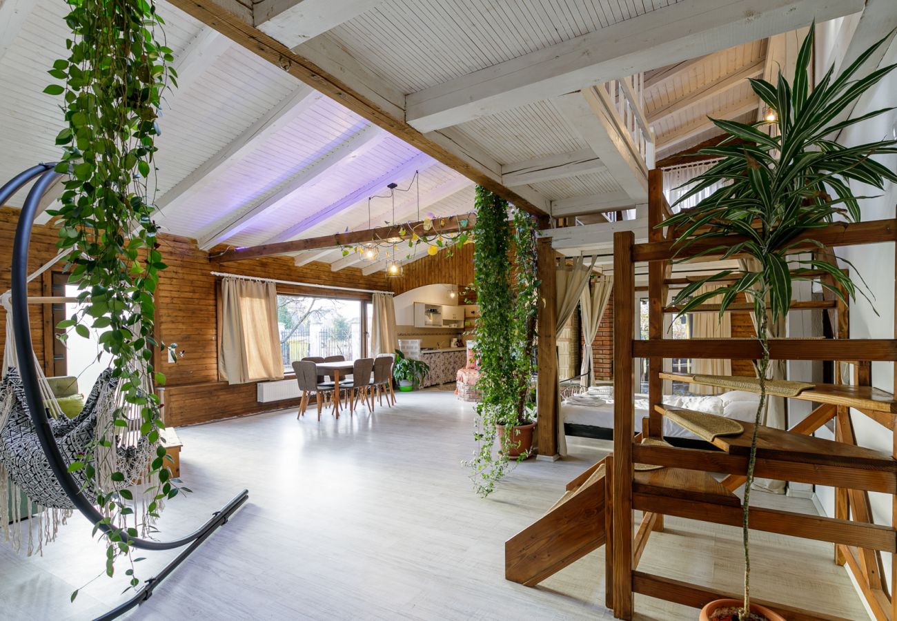House in Bistrita - Tropica Home with Barbeque & Ciubar