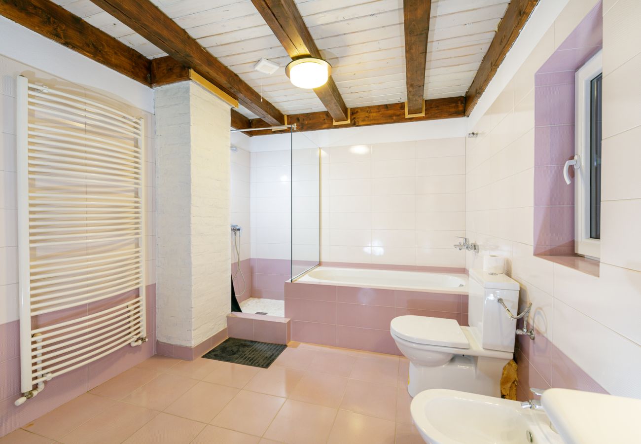 House in Bistrita - Tropica Home with Barbeque & Ciubar