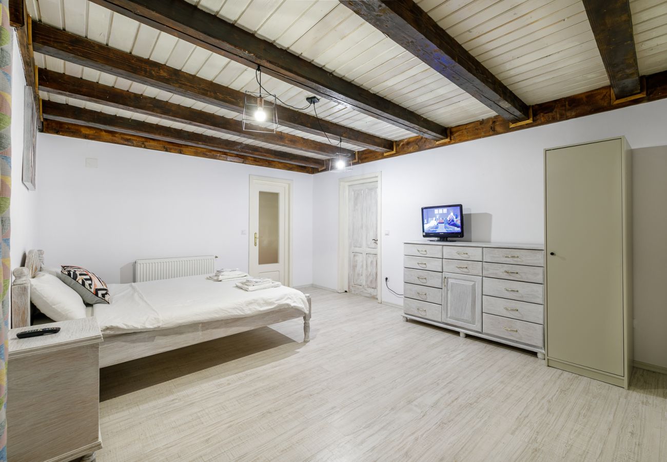 House in Bistrita - Tropica Home with Barbeque & Ciubar