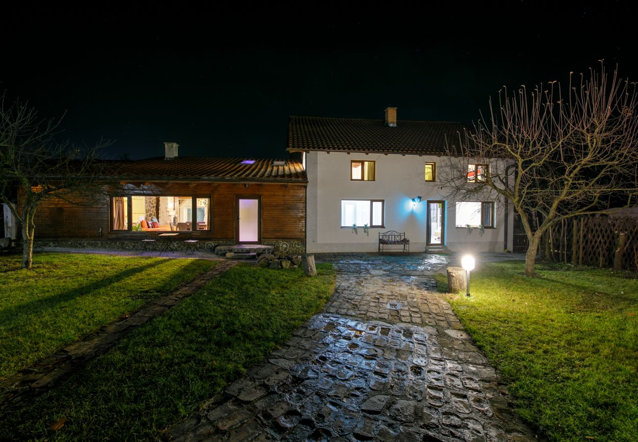 House in Bistrita - Tropica Home with Barbeque & Ciubar