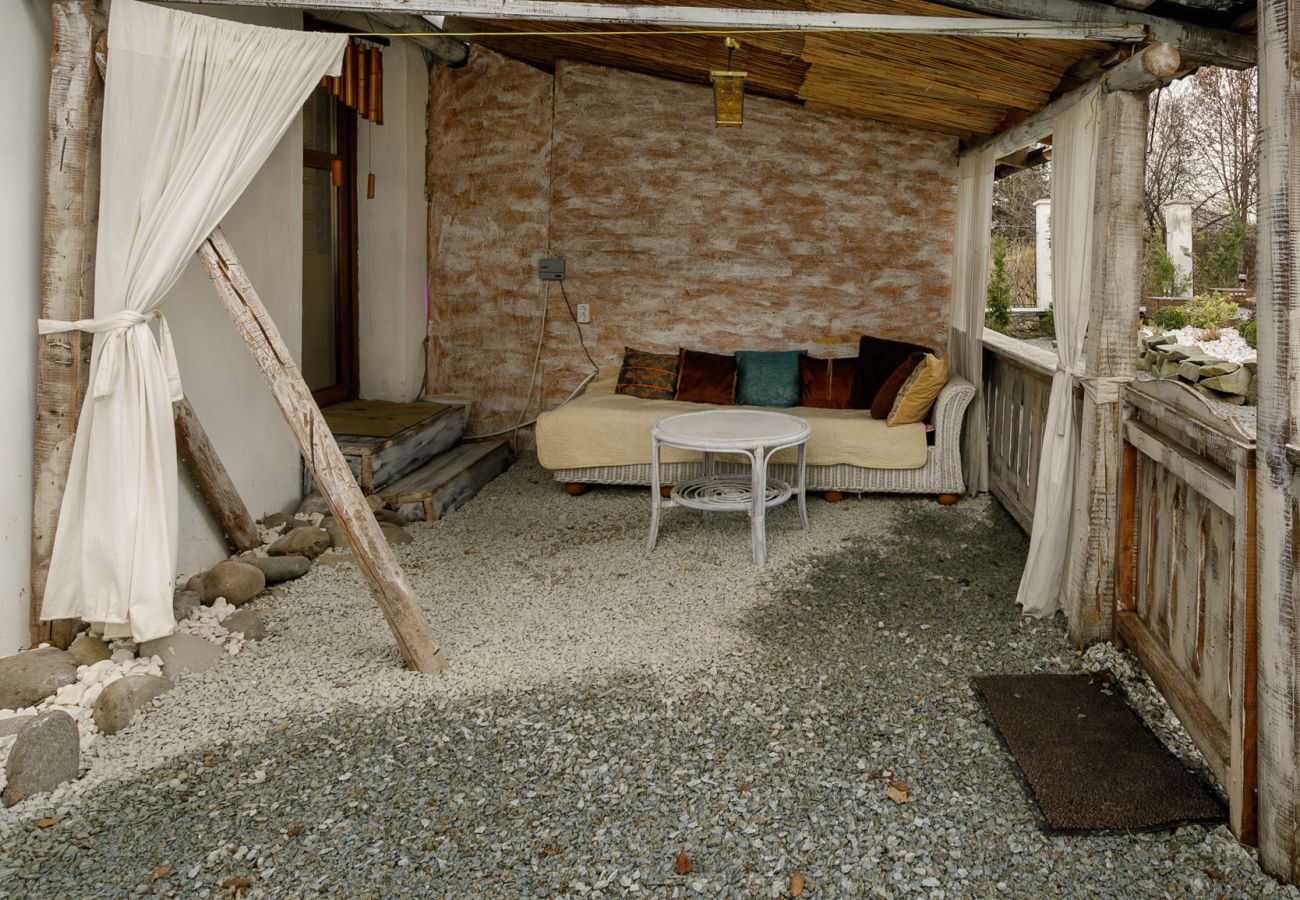 House in Bistrita - Tropica Home with Barbeque & Ciubar