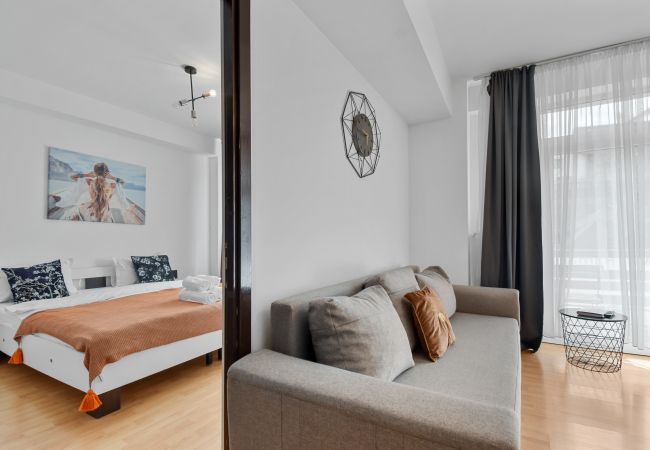 Sinaia - Apartment