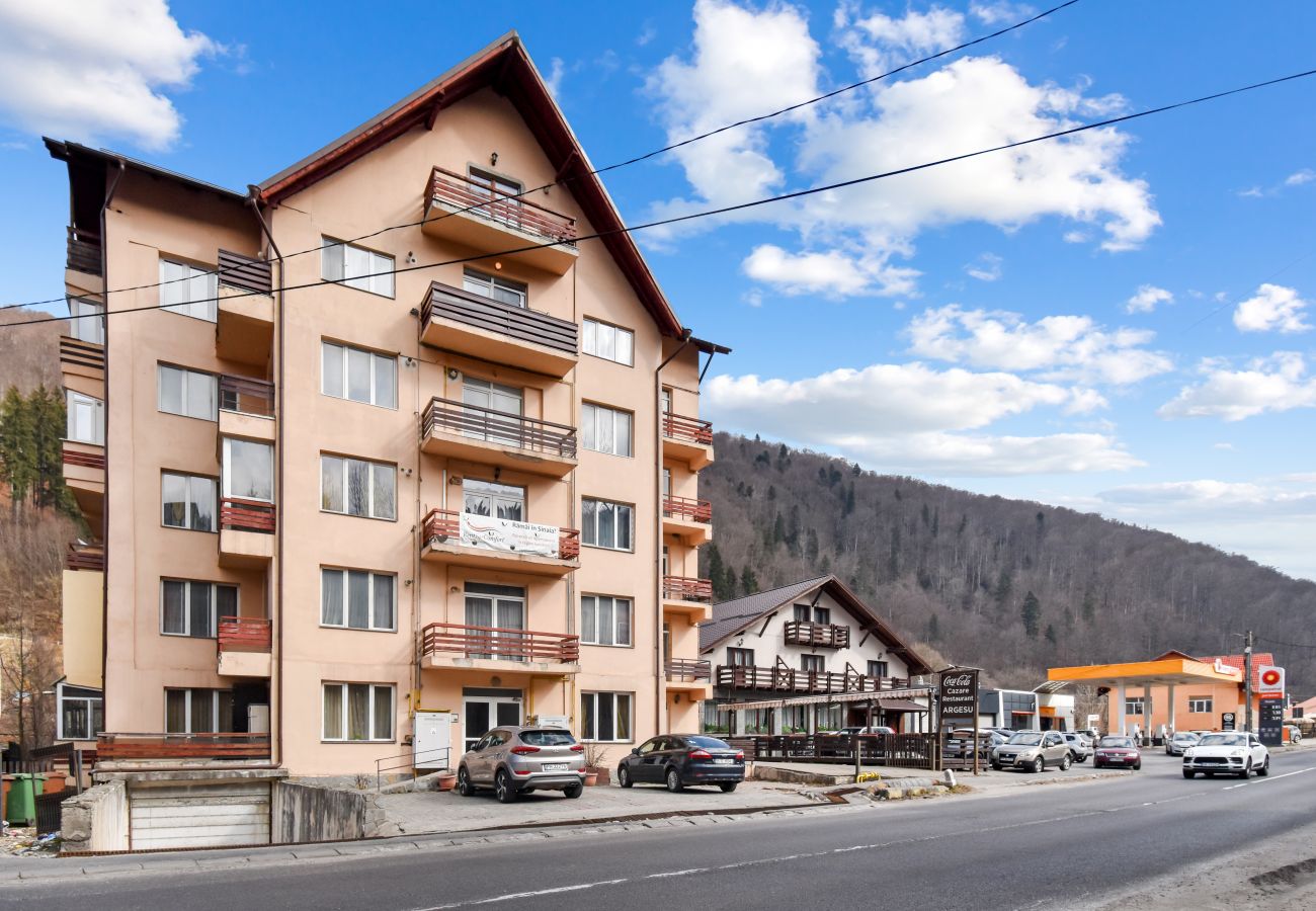 Apartment in Sinaia - POP Apartment