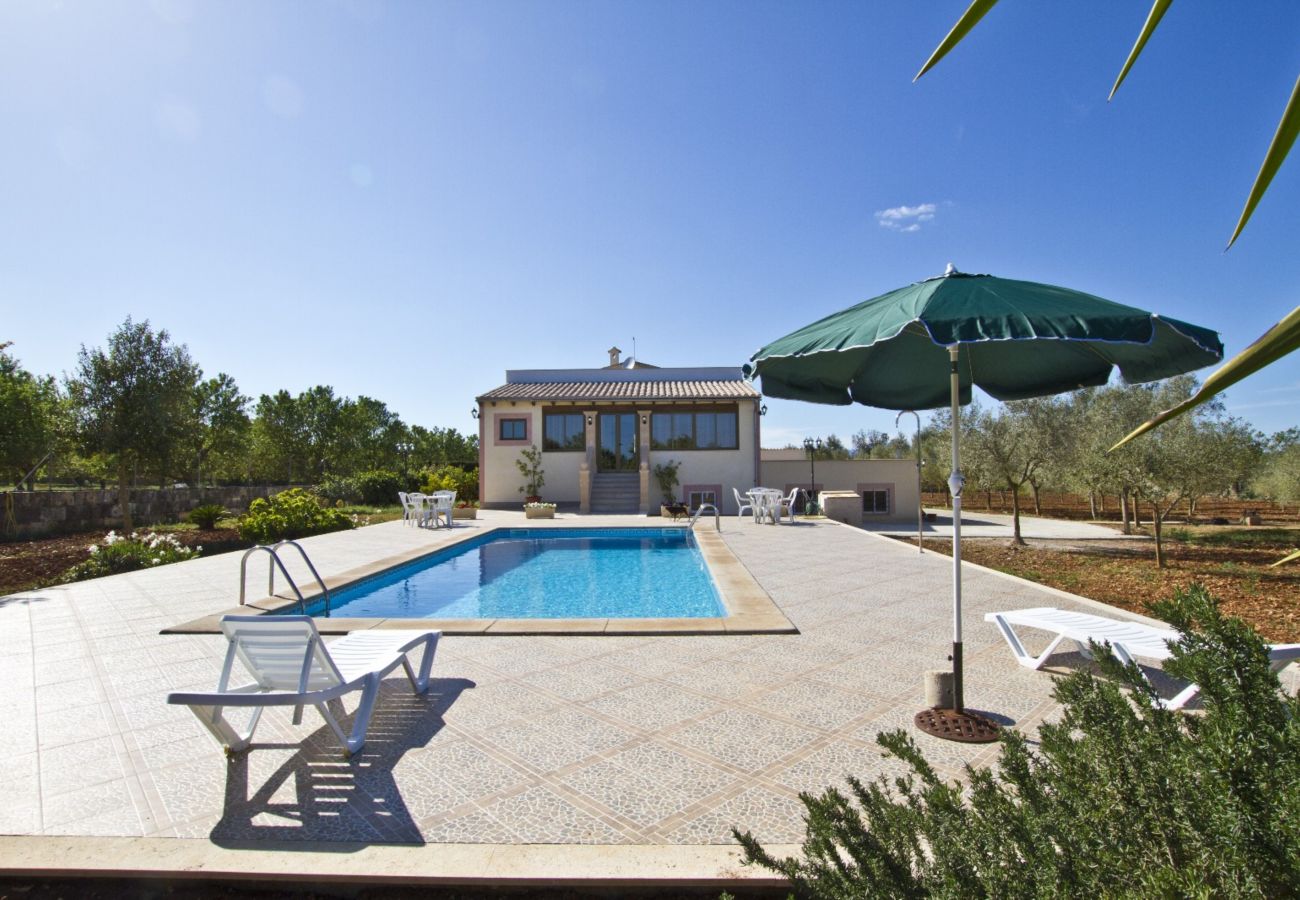 Villa in Ariany - YourHouse Can Nofre - Calderitx