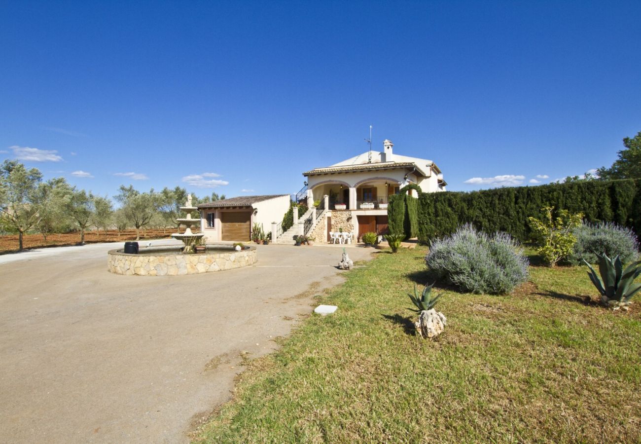 Villa in Ariany - YourHouse Can Nofre - Calderitx