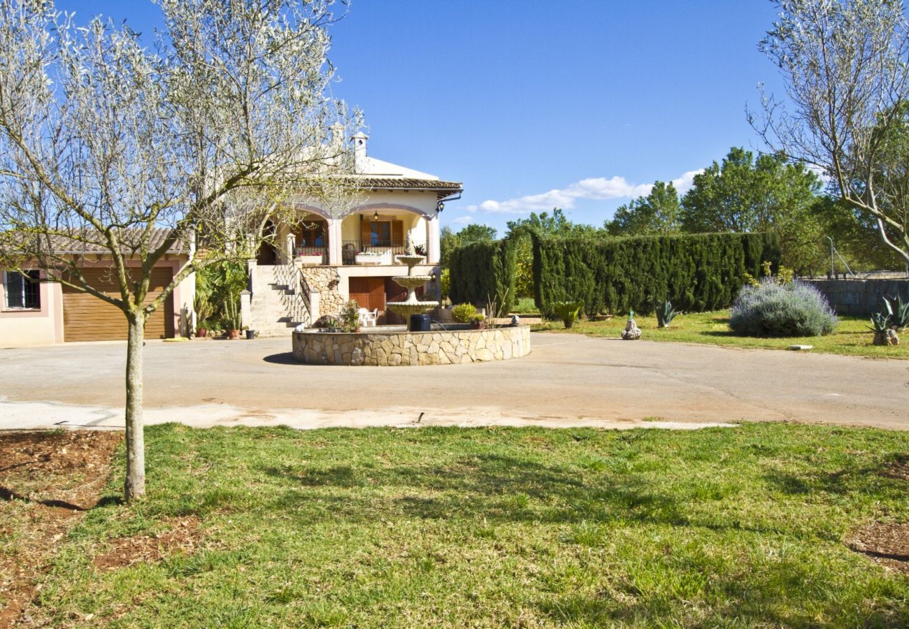 Villa in Ariany - YourHouse Can Nofre - Calderitx