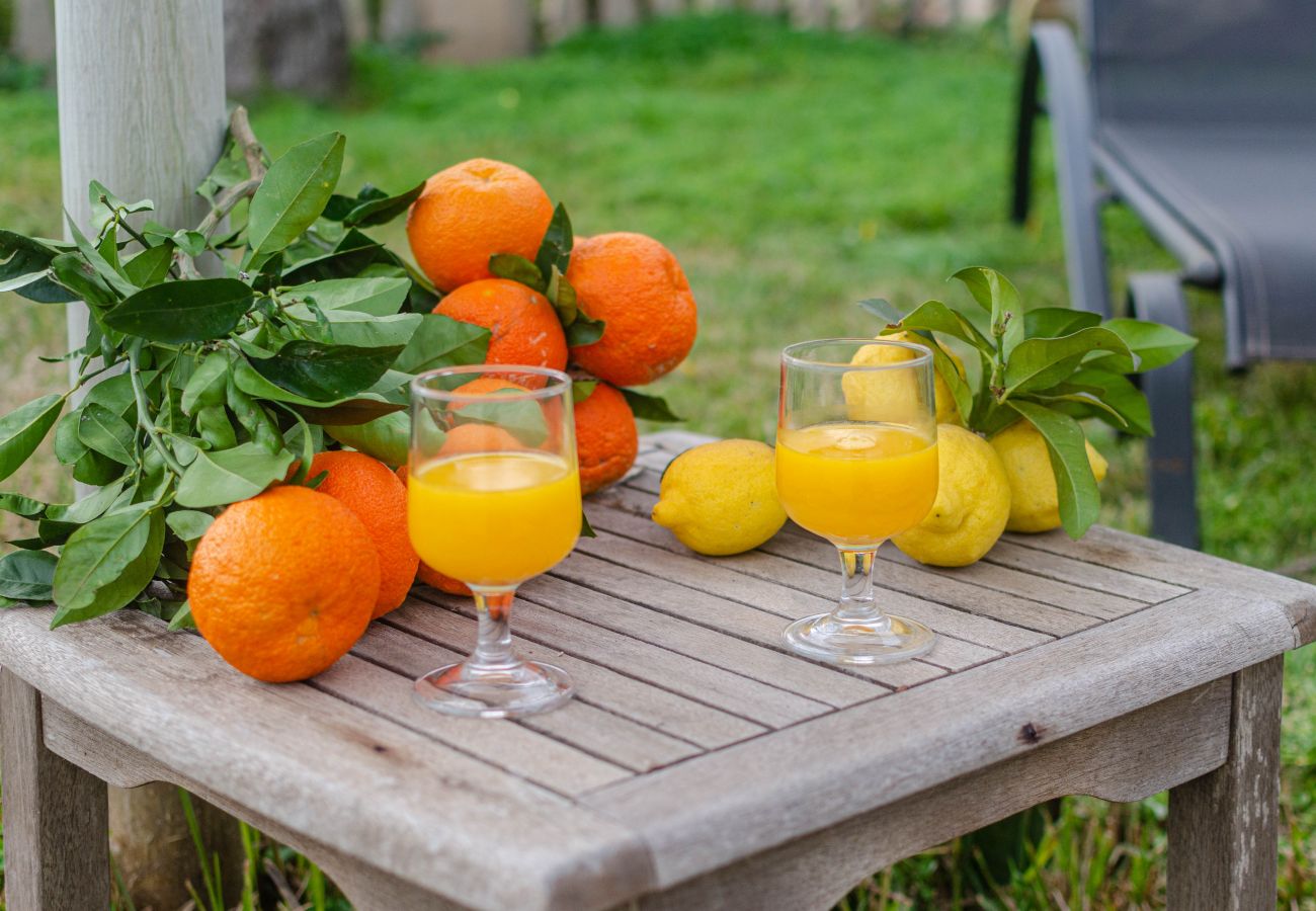 Apartment in Maria de la salut - YourHouse Deulosal, family-friendly rural house, cycling friendy