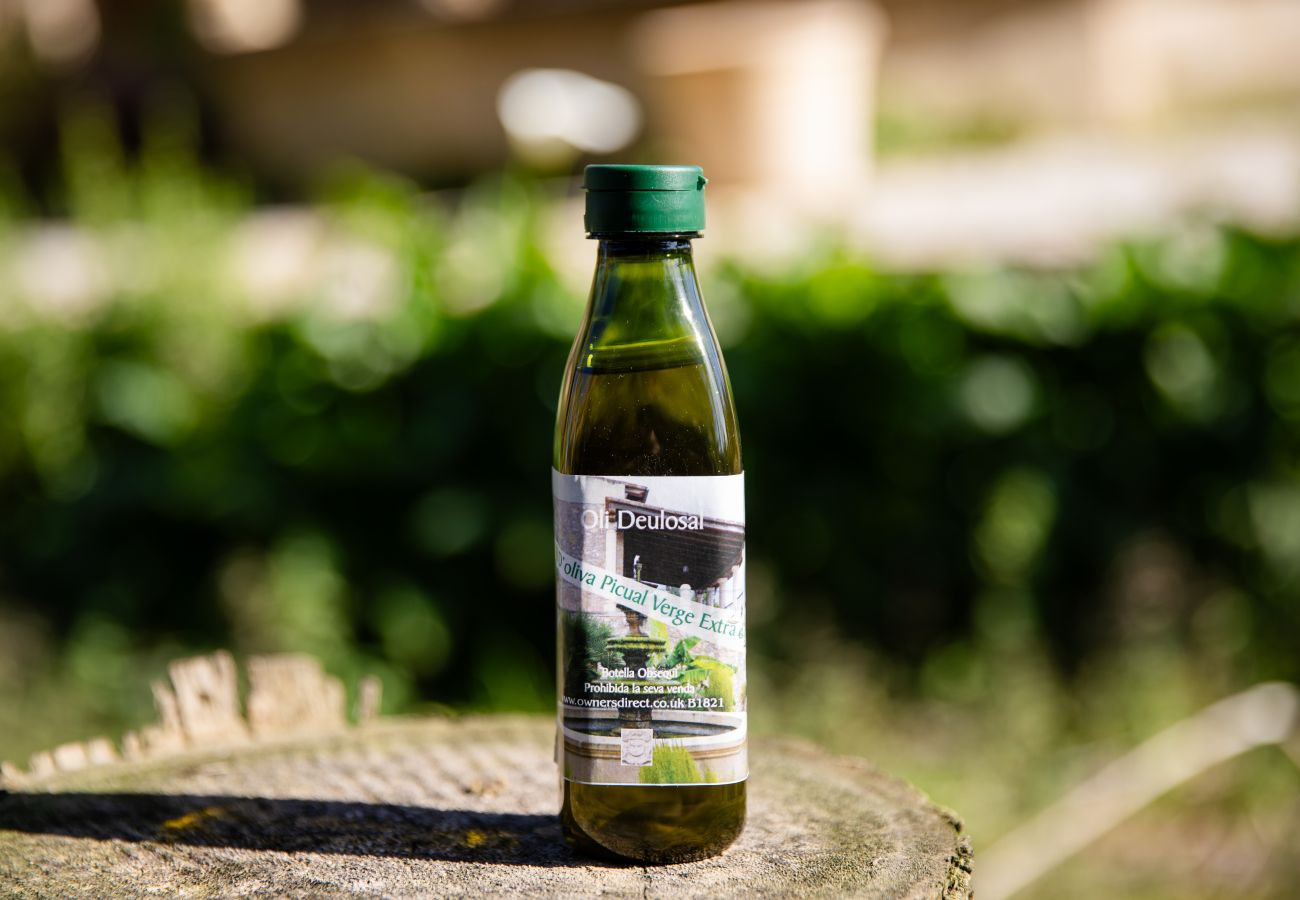 Apartment in Maria de la salut - YourHouse Deulosal, family-friendly rural house, cycling friendy