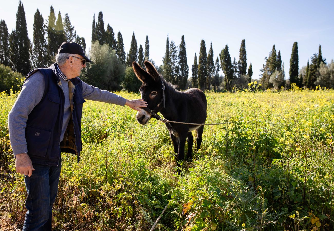 Apartment in Maria de la salut - YourHouse Deulosal, family-friendly rural house, cycling friendy
