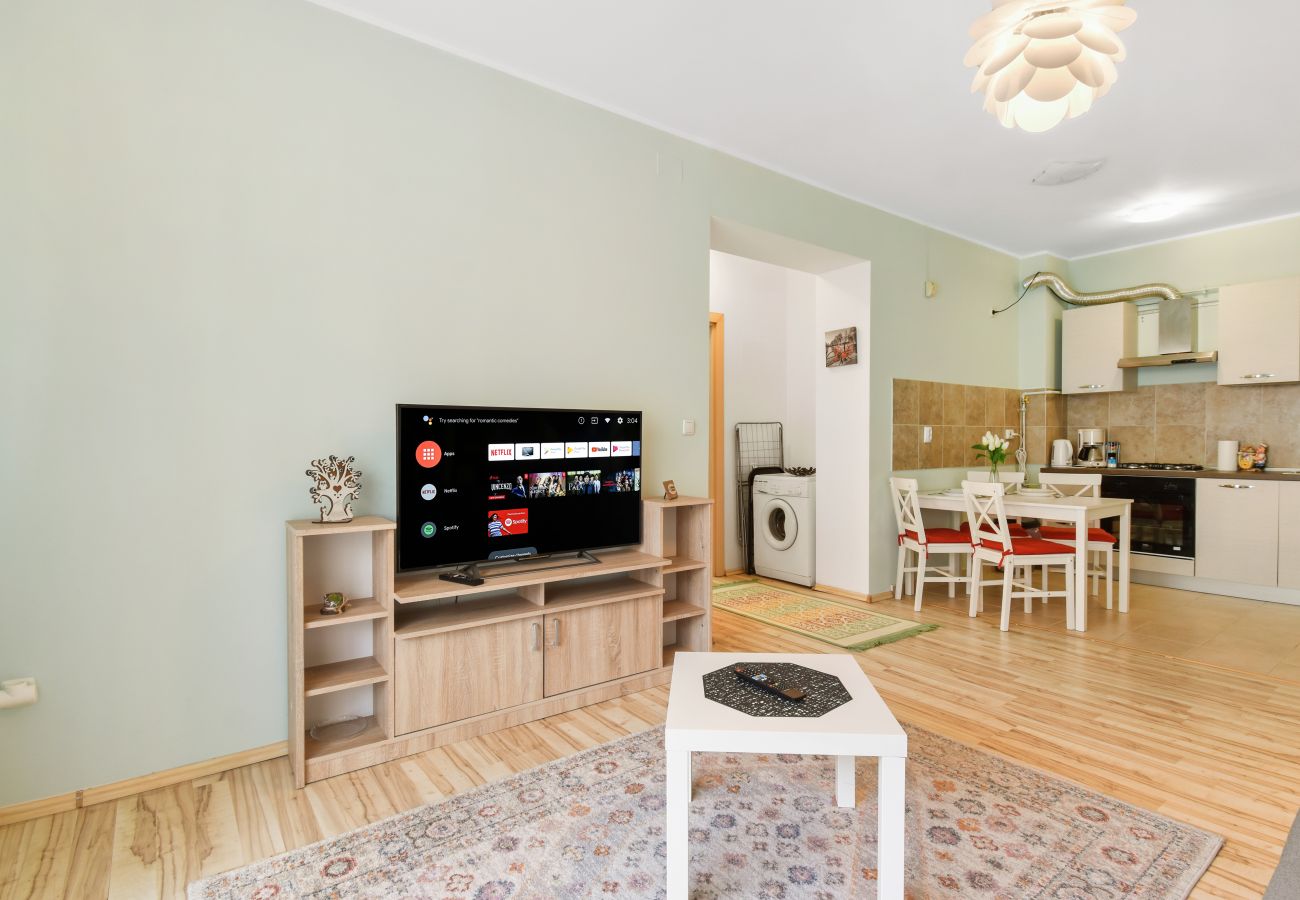 Apartment in Sinaia - Matteri