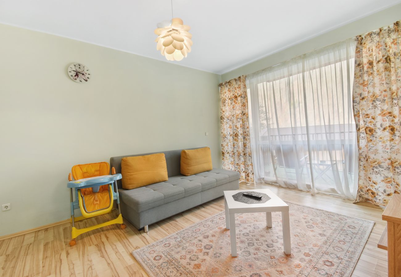 Apartment in Sinaia - Matteri