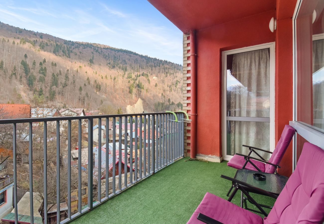 Apartment in Sinaia - Matteri