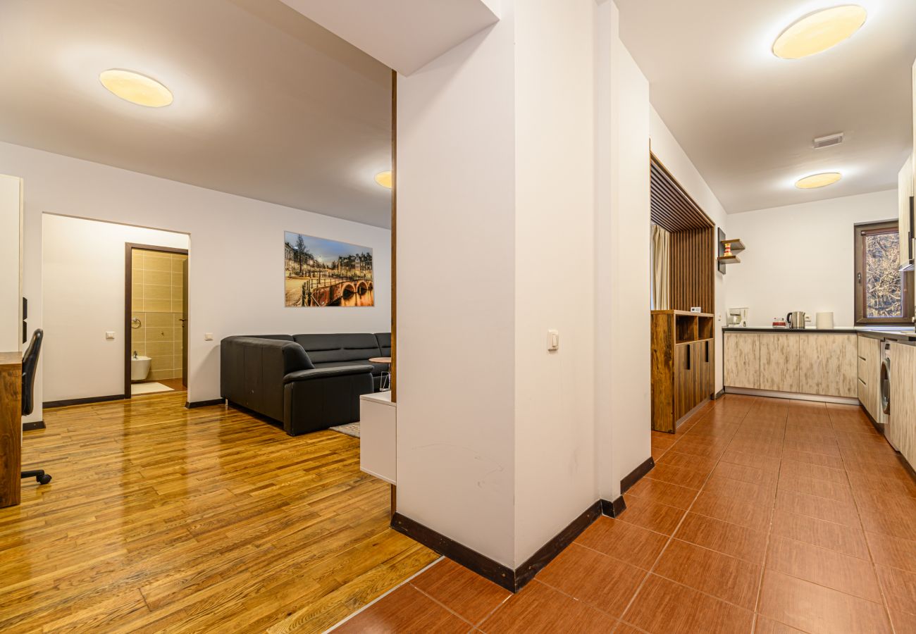 Apartment in Brasov - 1BDR in Tampa Gardens