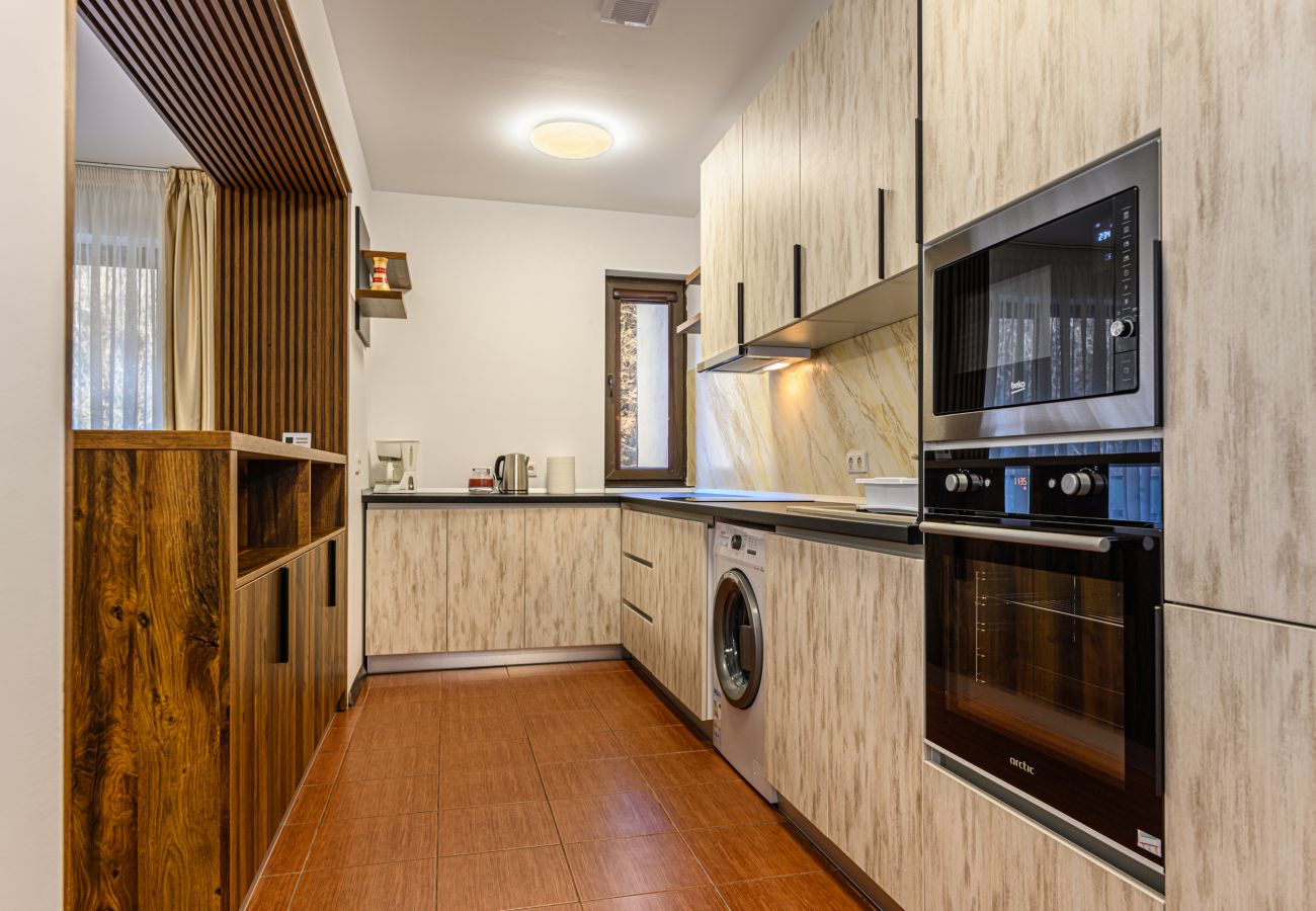 Apartment in Brasov - 1BDR in Tampa Gardens