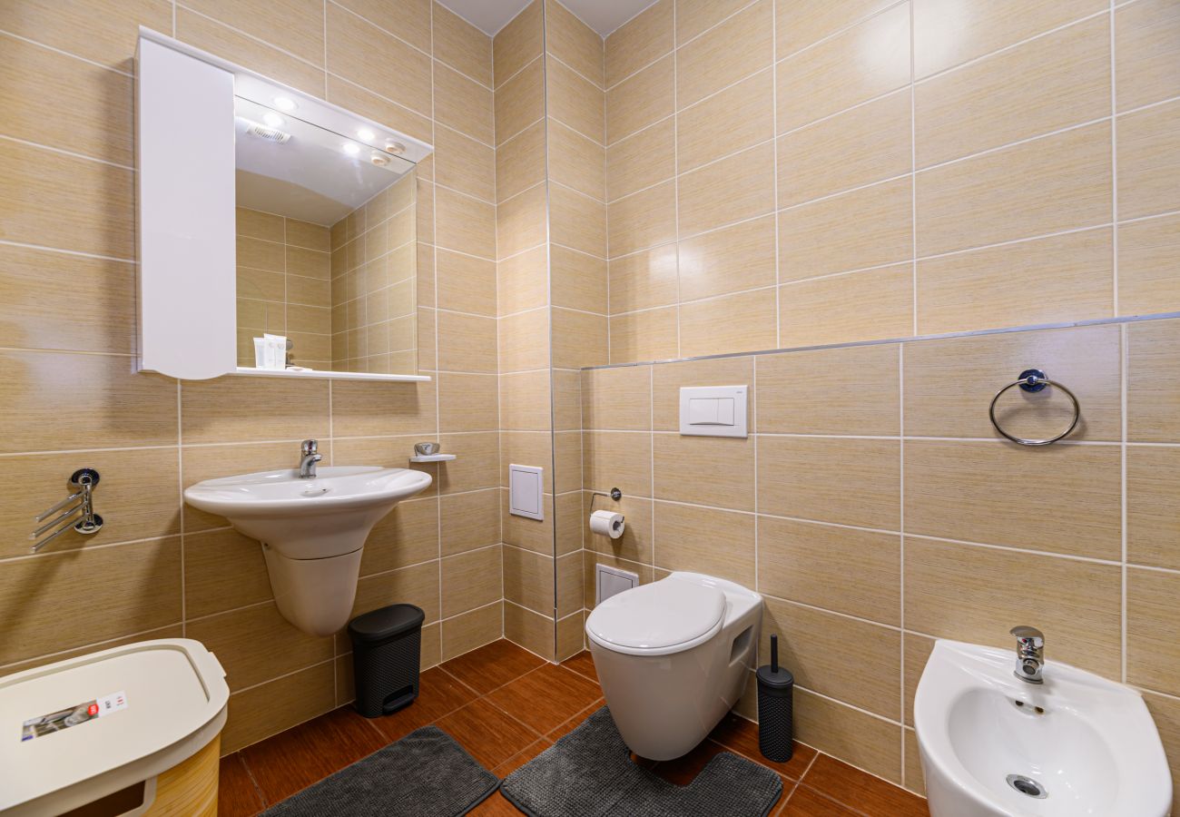 Apartment in Brasov - 1BDR in Tampa Gardens