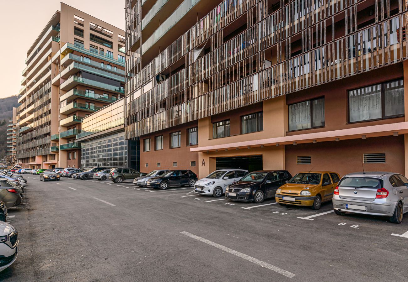 Apartment in Brasov - 1BDR in Tampa Gardens