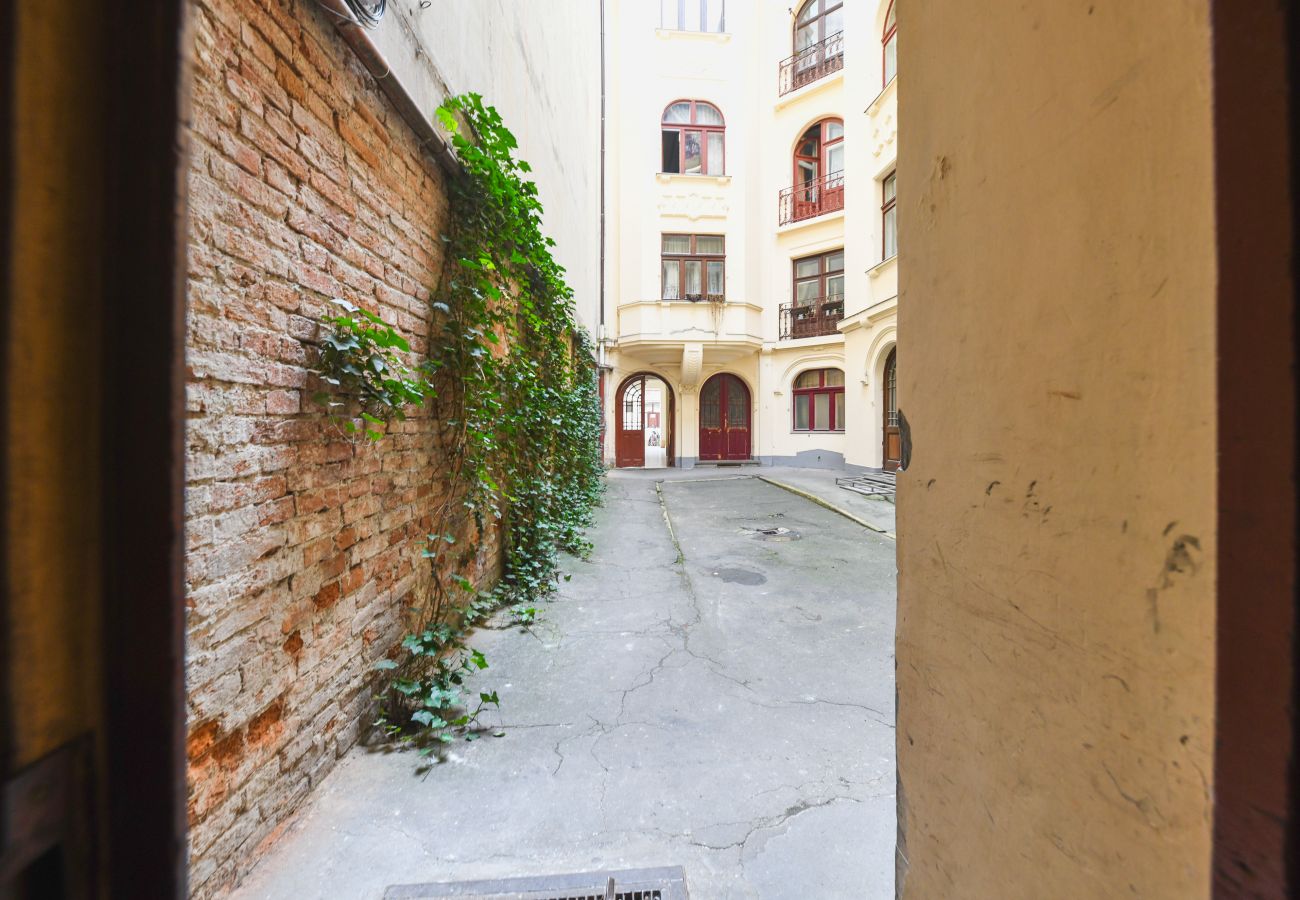 Apartment in Cluj Napoca - Two Bedroom Apartment in the City Center