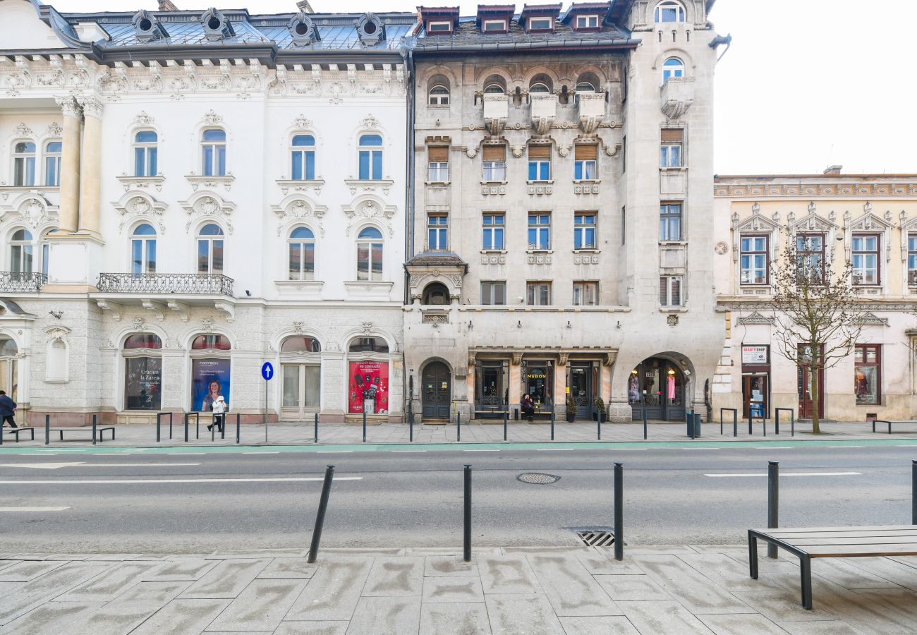 Apartment in Cluj Napoca - Two Bedroom Apartment in the City Center