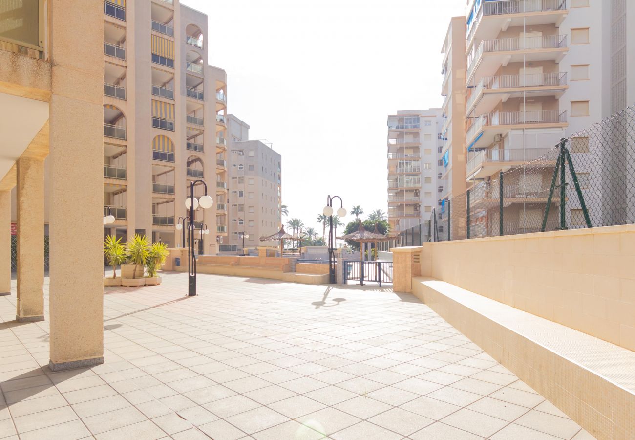 Apartment in Cullera - STANDING 2