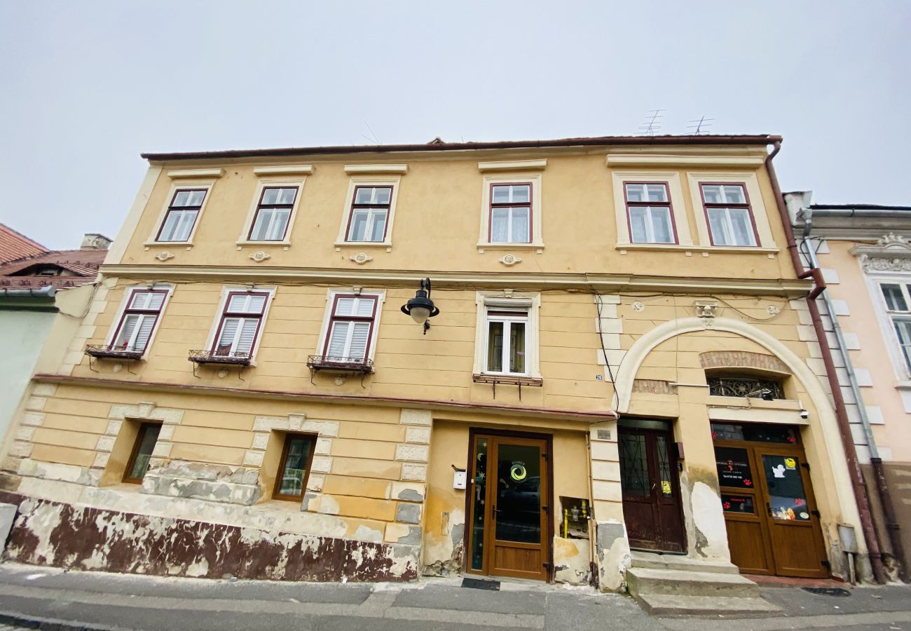 Apartment in Sibiu - Ray's Place in Old Town