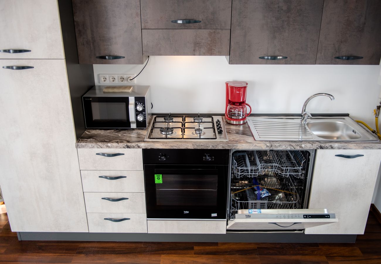 Apartment in Baia Mare - Two Bedroom Niagara Apartment 
