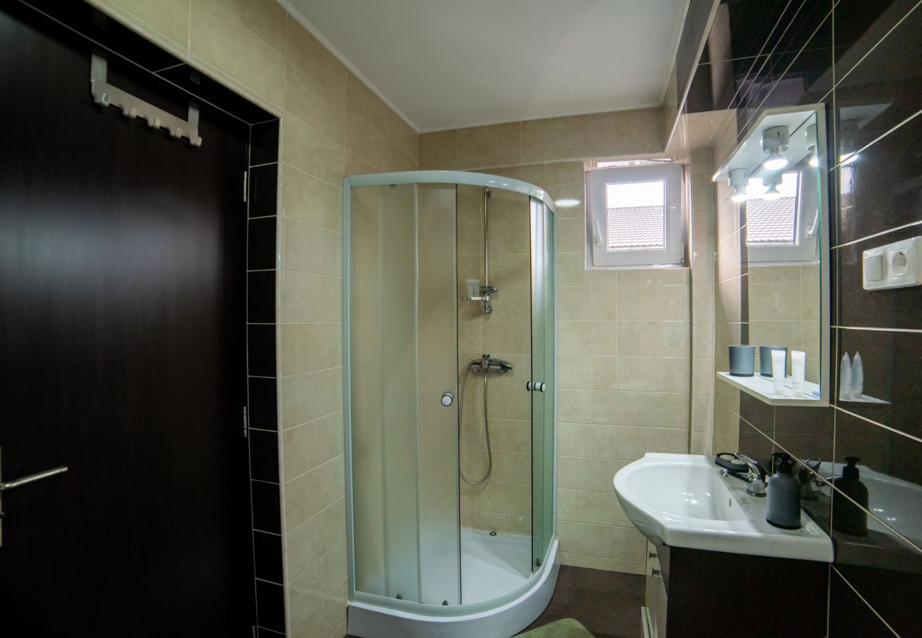 Apartment in Baia Mare - Two Bedroom Niagara Apartment 
