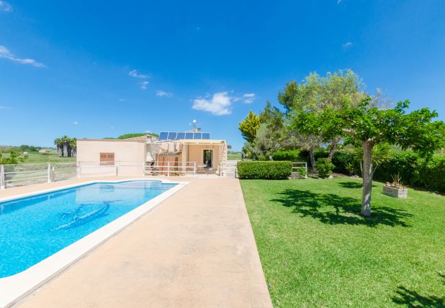 Villa in Santa Margalida - YourHouse Sa Cova Dor, villa with private pool and garden