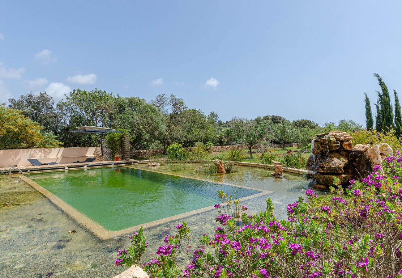 Villa in Santanyi - YourHouse Na Clavet, finca with natural pool near Cala D'Or