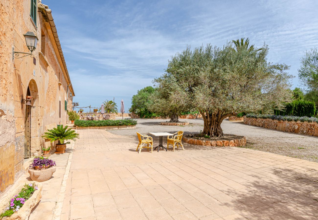 Farm stay in Campos - YourHouse Agroturismo Son Sala, double room