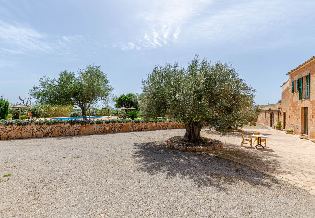 Farm stay in Campos - YourHouse Agroturismo Son Sala, double room