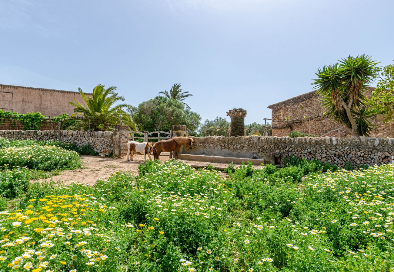 Farm stay in Campos - YourHouse Agroturismo Son Sala, double room