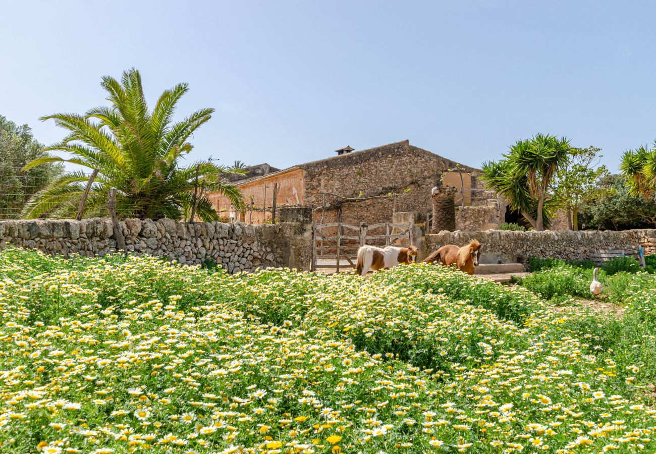Farm stay in Campos - YourHouse Agroturismo Son Sala, double room