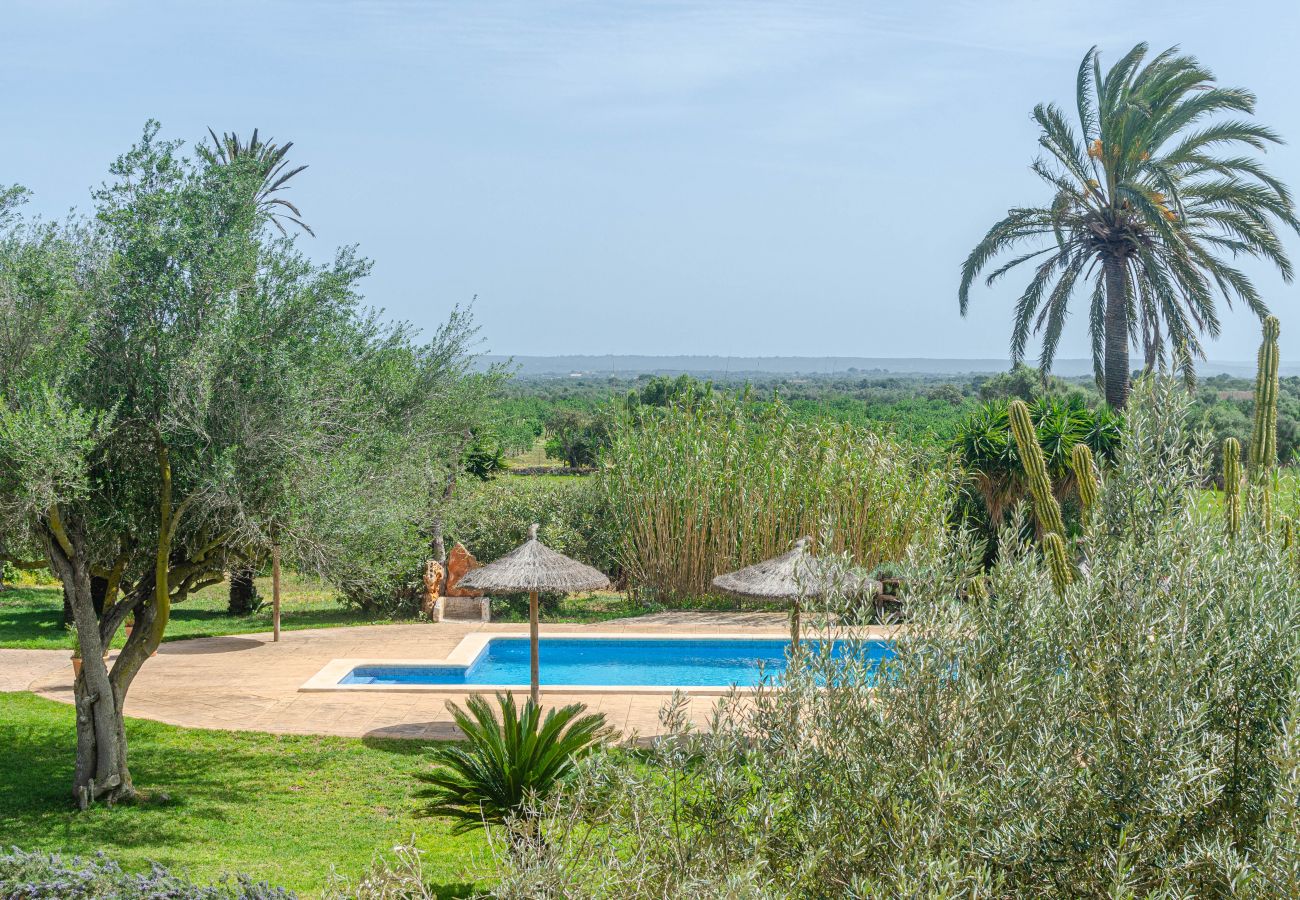 Farm stay in Campos - YourHouse Agroturismo Son Sala, double room