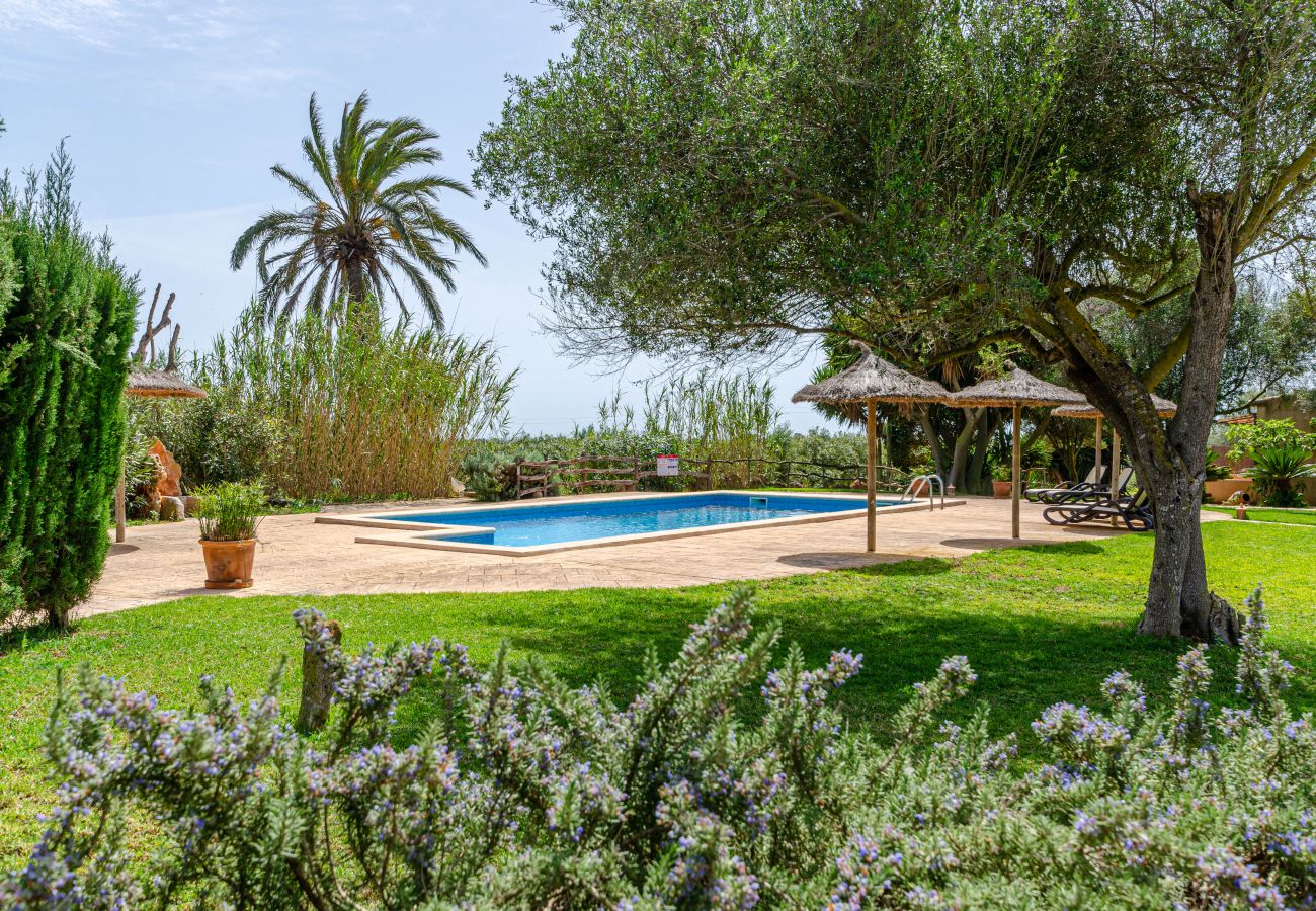 Farm stay in Campos - YourHouse Agroturismo Son Sala, double room