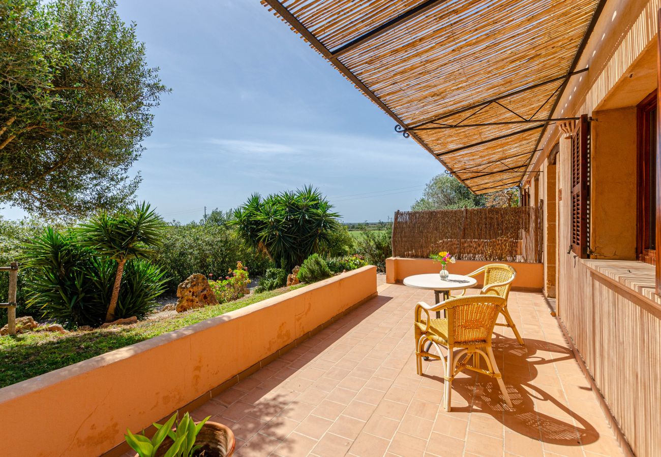Farm stay in Campos - YourHouse Son Sala Agroturismo - double room