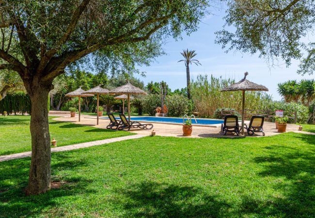 Farm stay in Campos - YourHouse Son Sala farm stay, apartment with shared pool