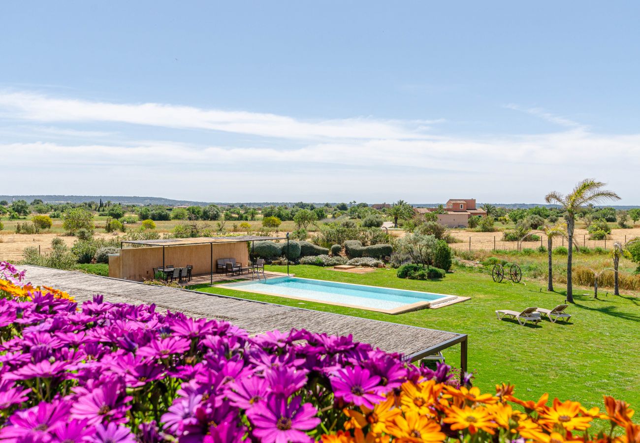 Villa in Campos - YourHouse Thalassa Villa