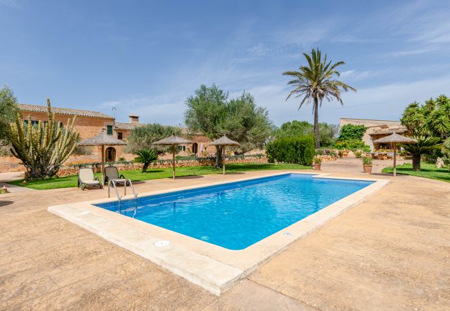 Farm stay in Campos - YourHouse Son Sala Galliner Agroturismo with pool and garden