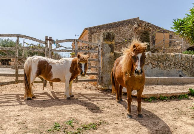 Farm stay in Campos - YourHouse Son Sala Galliner Agroturismo with pool and garden