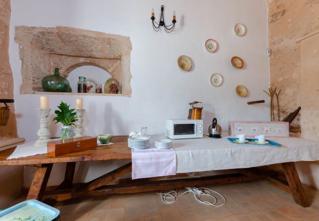 Farm stay in Campos - YourHouse Son Sala Galliner Agroturismo with pool and garden