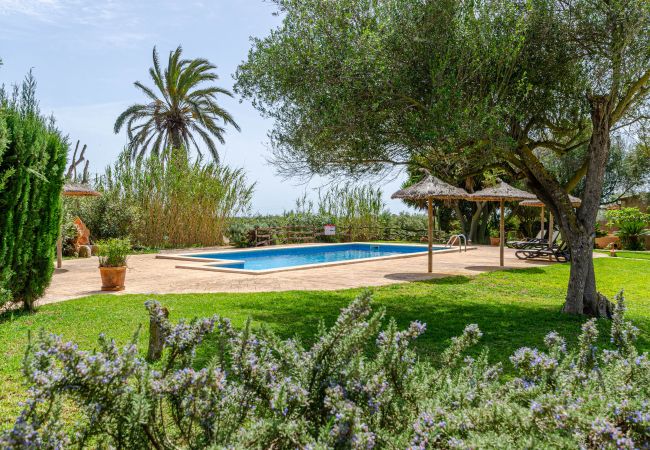 Farm stay in Campos - YourHouse Son Sala Galliner Agroturismo with pool and garden